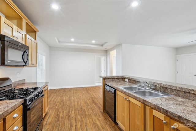 kitchen featuring light hardwood / wood-style flooring, black appliances, and sink