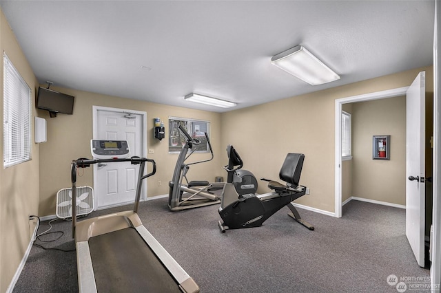 workout area featuring carpet floors