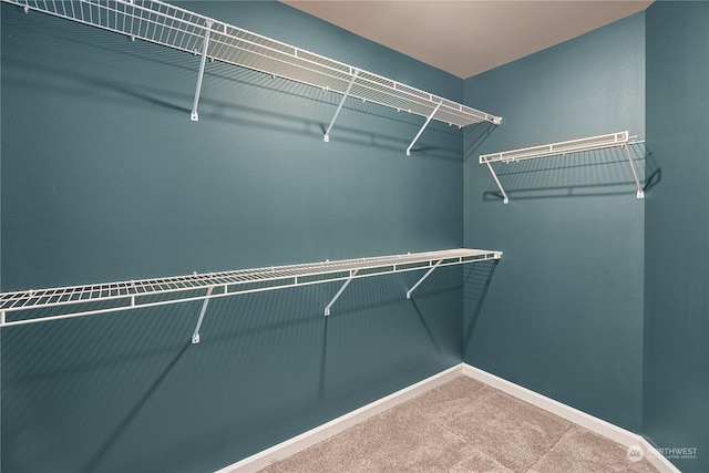 394 Lake View Loop NE, Ocean Shores, WA 98569 - spacious closet with carpet