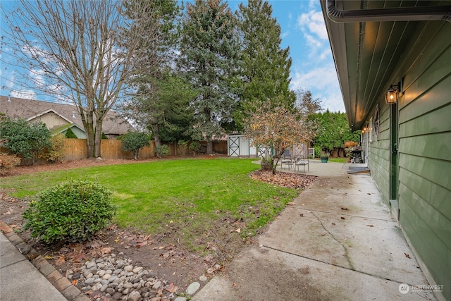 view of yard with a storage shed and a patio