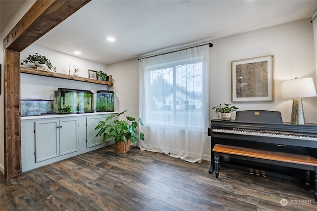 bar with dark wood-type flooring