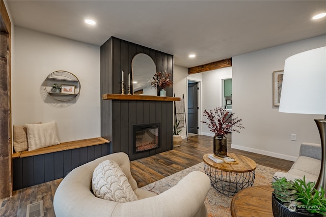 living room featuring a fireplace and dark wood-type flooring