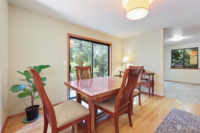 dining space featuring a healthy amount of sunlight and light wood-type flooring