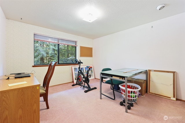 carpeted office space featuring a textured ceiling