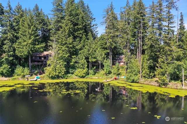 view of water feature