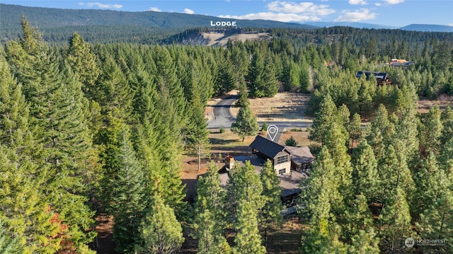 birds eye view of property with a mountain view