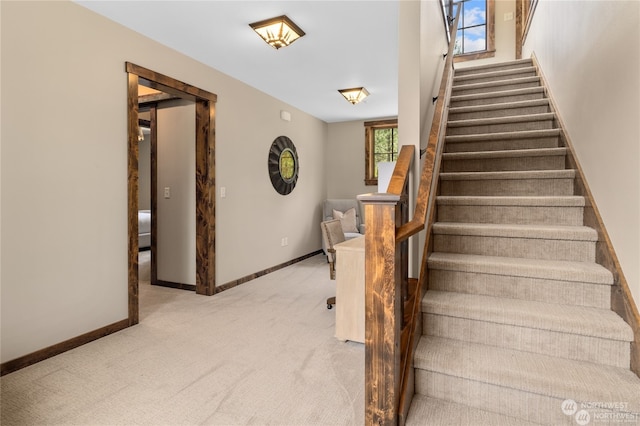 staircase with carpet flooring