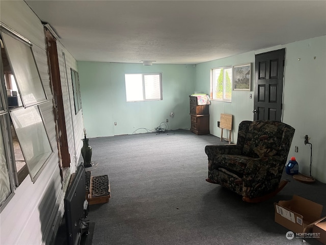 sitting room featuring light carpet