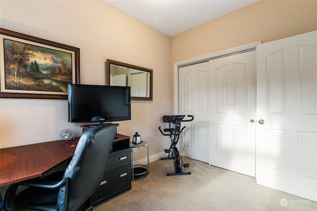 office area featuring light carpet