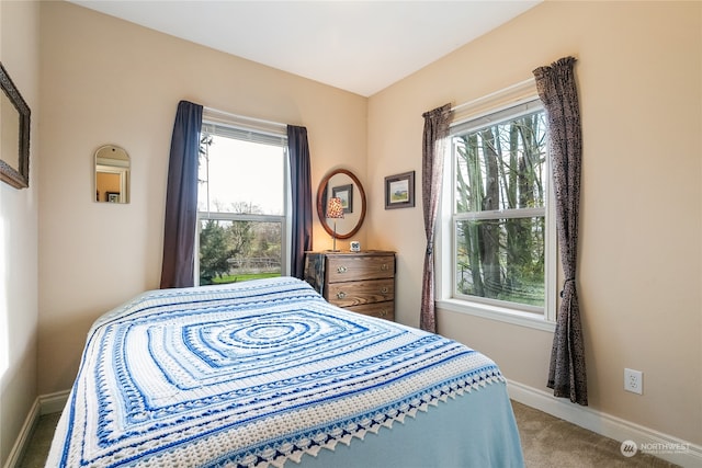 carpeted bedroom with multiple windows