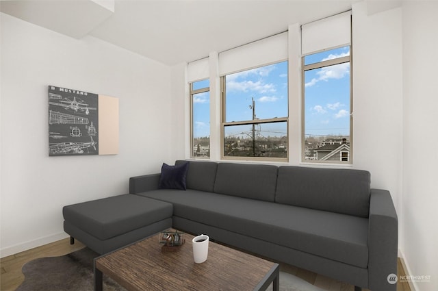 living room featuring wood-type flooring