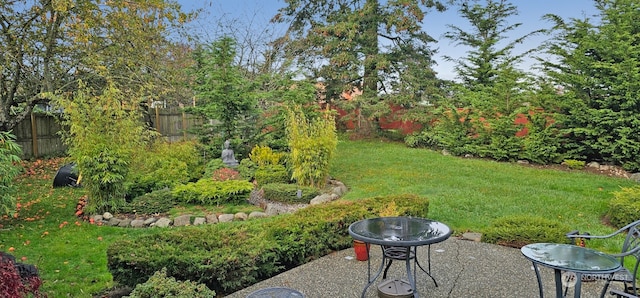view of yard featuring a patio