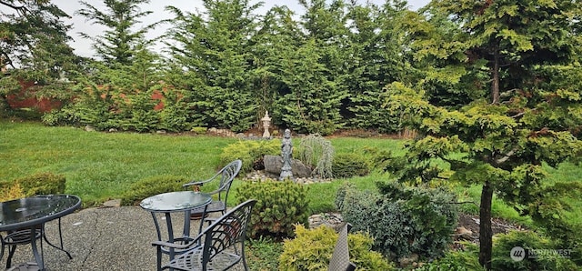 450 Spruce St, Friday Harbor, WA 98250 - view of green lawn