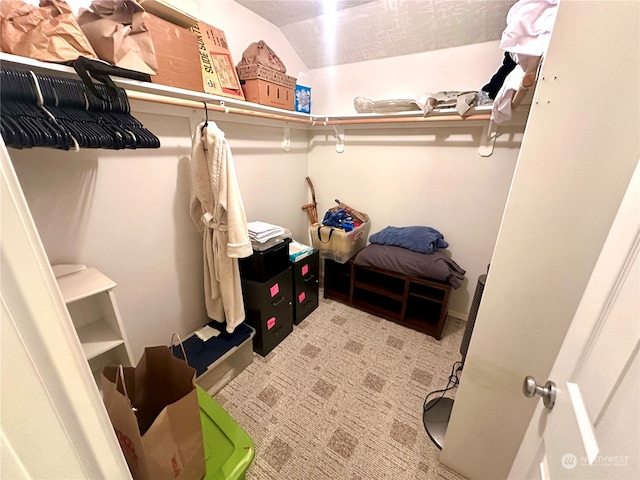 spacious closet featuring carpet floors and vaulted ceiling