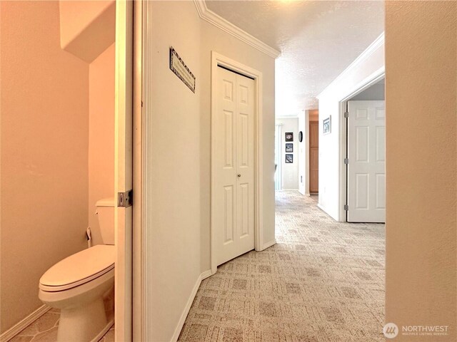 146 28th St NW, Long Beach, WA 98631 - hall featuring light carpet, ornamental molding, a textured ceiling, and baseboards