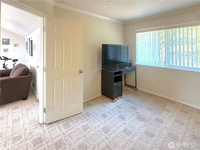 146 28th St NW, Long Beach, WA 98631 - living room with light colored carpet, a textured ceiling, baseboards, and crown molding