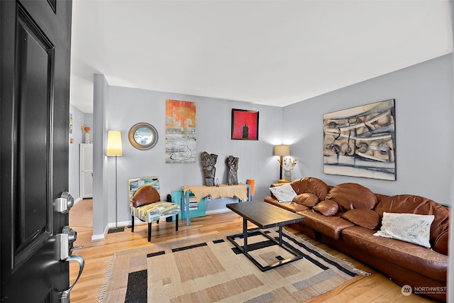 living room with light wood-type flooring