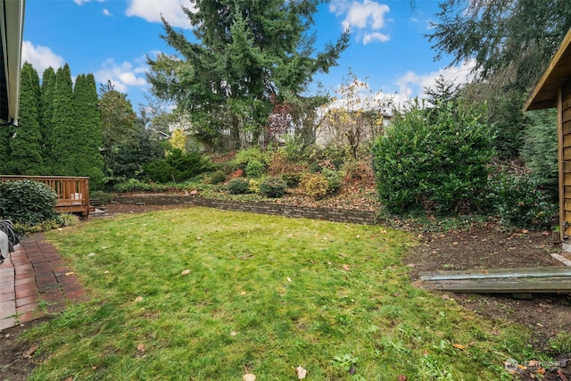 view of yard featuring a deck