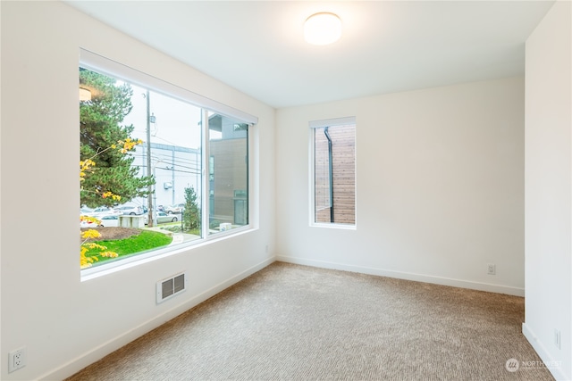 empty room featuring carpet flooring and a healthy amount of sunlight