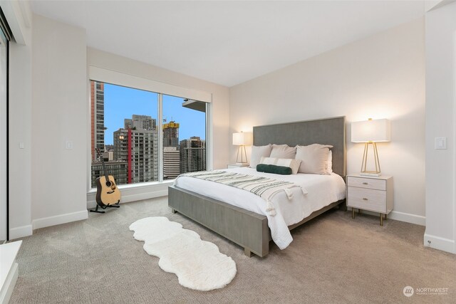 view of carpeted bedroom