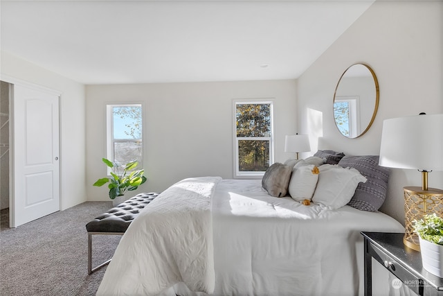 carpeted bedroom featuring multiple windows