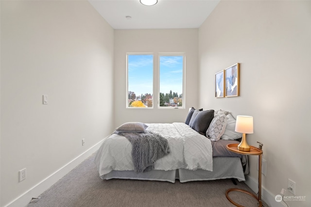 bedroom with carpet floors