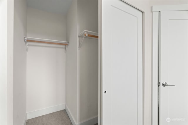 walk in closet with light carpet