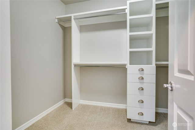 spacious closet featuring light carpet