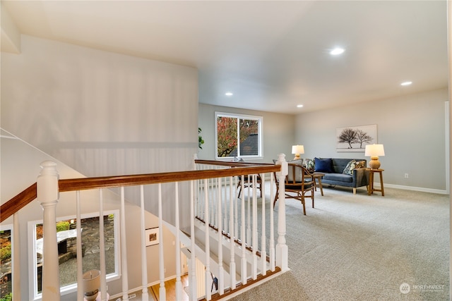 hallway with carpet floors