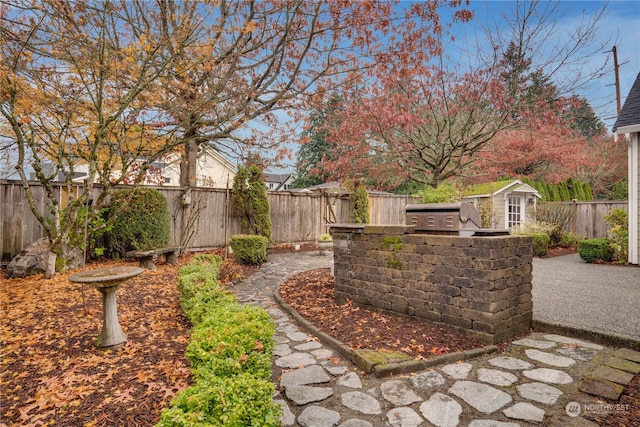 view of yard featuring exterior kitchen