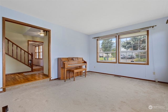 miscellaneous room featuring carpet floors