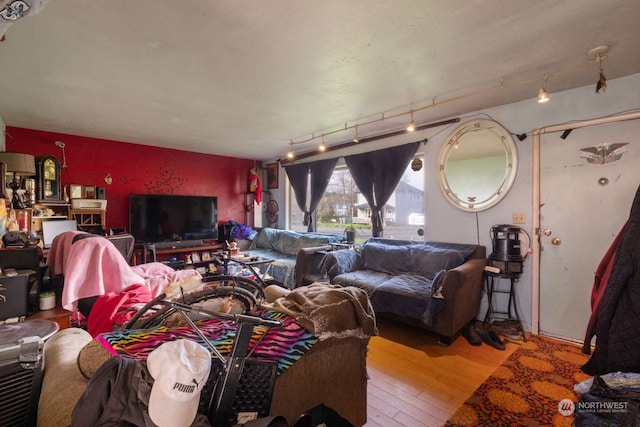 living room with light hardwood / wood-style floors