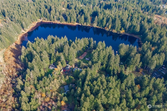 0 Bass Ln, Lakebay WA, 98349 land for sale