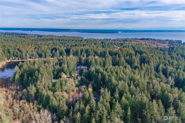 Listing photo 2 for 0 Bass Ln, Lakebay WA 98349