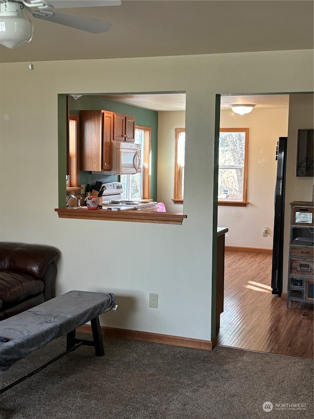 living room with dark carpet