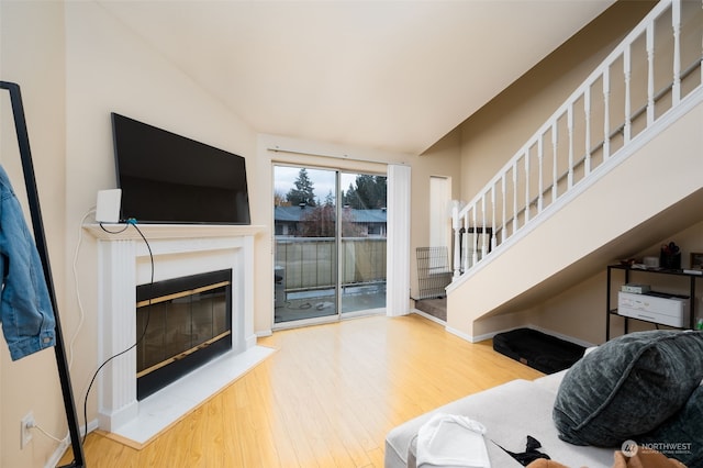 living room featuring wood-type flooring