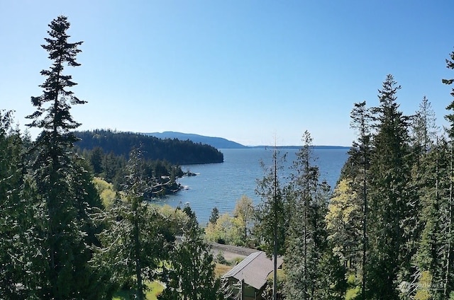 view of water feature featuring a mountain view