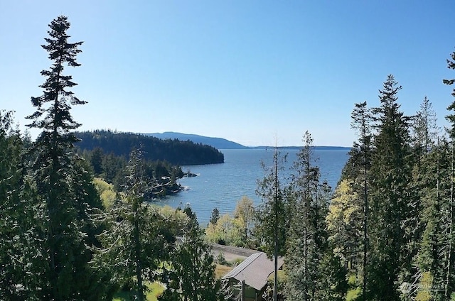 166 Soundview Dr, Bellingham, WA 98229 - photo 11