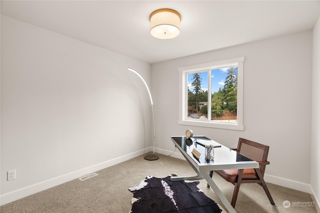 1409 60th Ave NE, Tacoma, WA 98422 - photo 32