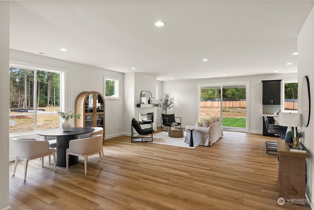 living room featuring hardwood / wood-style floors and a wealth of natural light