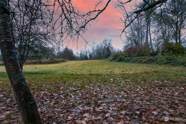 516 SW Riverside Dr, Chehalis, WA 98532 - view of yard at dusk