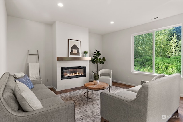 living room featuring dark wood-type flooring