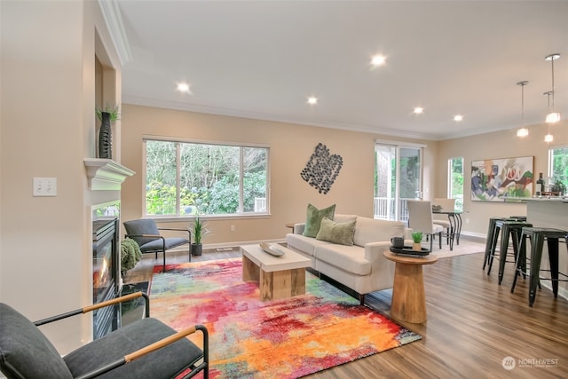 living room with hardwood / wood-style flooring, crown molding, and a wealth of natural light