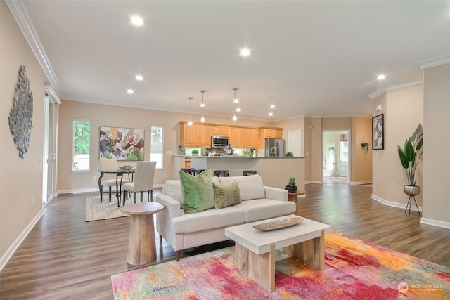 living room with crown molding and dark hardwood / wood-style flooring