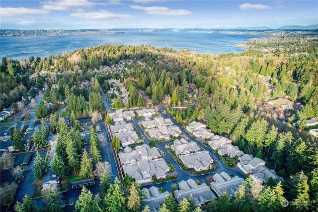 drone / aerial view featuring a water view