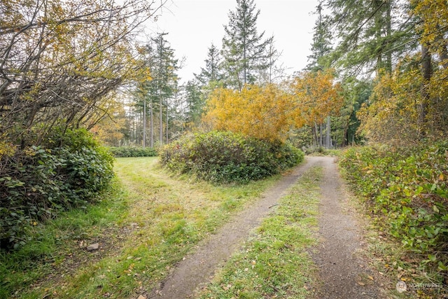 83 Steelhead Pl, Nordland, WA 98358 - photo 3