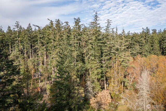 83 Steelhead Pl, Nordland, WA 98358 - photo 32