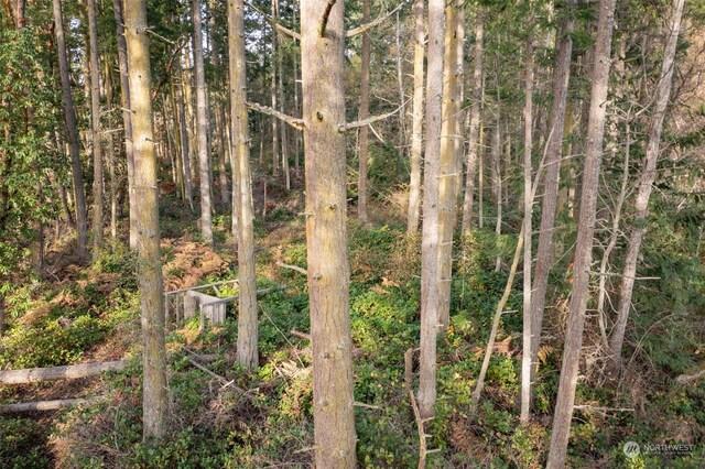 83 Steelhead Pl, Nordland, WA 98358 - photo 33
