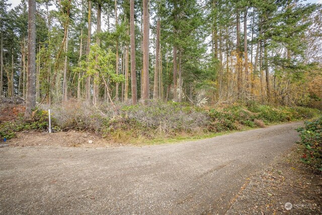 83 Steelhead Pl, Nordland, WA 98358 - photo 35