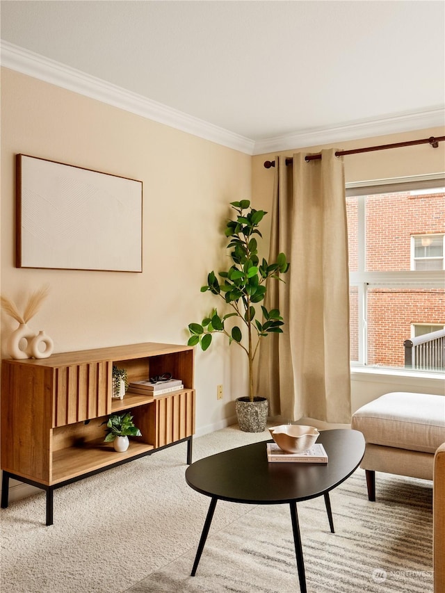 sitting room with carpet and ornamental molding